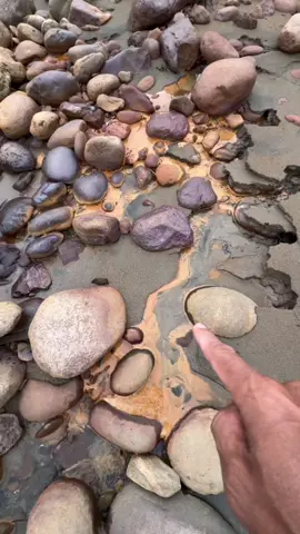 😱😱😱 This material is rich in gold!!! gold jewelry started from here. Golden treasure found!!! #fyp #video #goldtreasure #viral 