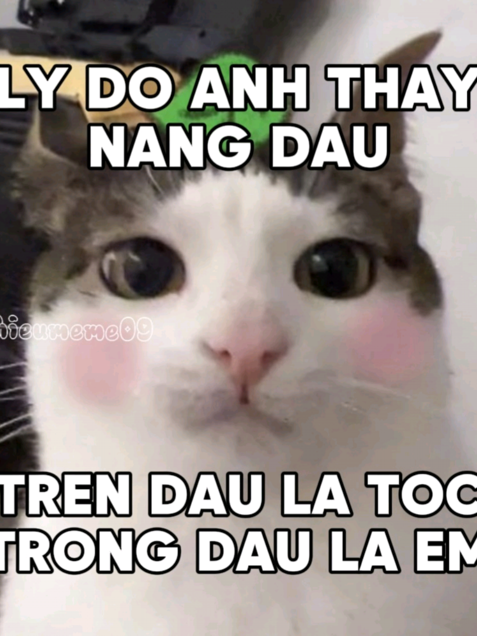 LY DO ANH THAY NANG DAU😖💫💫 #wrongtime #xh #fyp #viral #xuhuong #nhachaymoingay #hieumeme09 