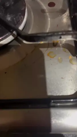 ASMR 🧽 #treanding #relatable #cleaningtiktok #cleanwithme #oddlysatisfying #oddlysatisfyingvideo #Lifestyle #scrublife #asmrrelax #viral #fyp #CleanTok #homecleaning #satisfyingvideos #satisfyingvideo #satisfyingcleaning #cleanwithmemotivation #cleaninghacks #viraltiktokvideo #video #sudsycleaningb #viralditiktok #reel 