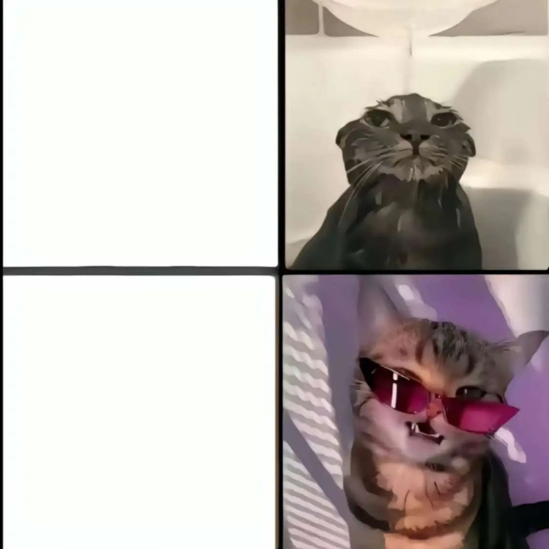 #fyp #tikto 