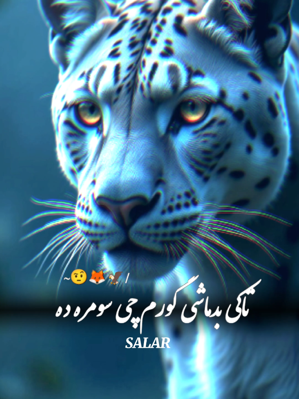 #CapCut نور به دی نازونه په سر نه اخلم🤨😈#🙌تمپلیت♥️_جدید #تمپلیت_جدید #رپ #پشتو #رپ_فارسی #اهنگ_افغانی #اهنگ_عاشقانه #creatorsearchinsights #oo__3salar_afg 