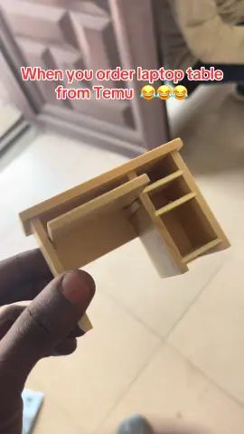 Casted 😂😂😂##temuhaul #tiktoker #viralditiktok #viral_video #goviral 