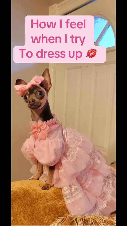 #dressingup #funny