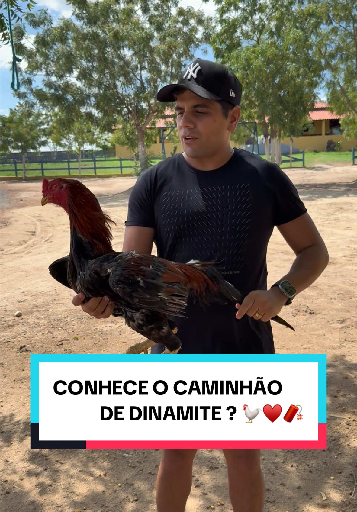 Conhece o caminhão de dinamite ? 🧨🐓♥️
