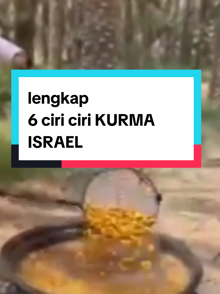 6 ciri ciri KURMA ISRAEL  #kurmaisrael #viralvideo #fypシ゚viral  @aswan801 @Ayu Amanah Official Jember  @Mama AL (Aldi & Lutfi)  @Afifah Ro'is  @anisa  @Imam Supriyadi 