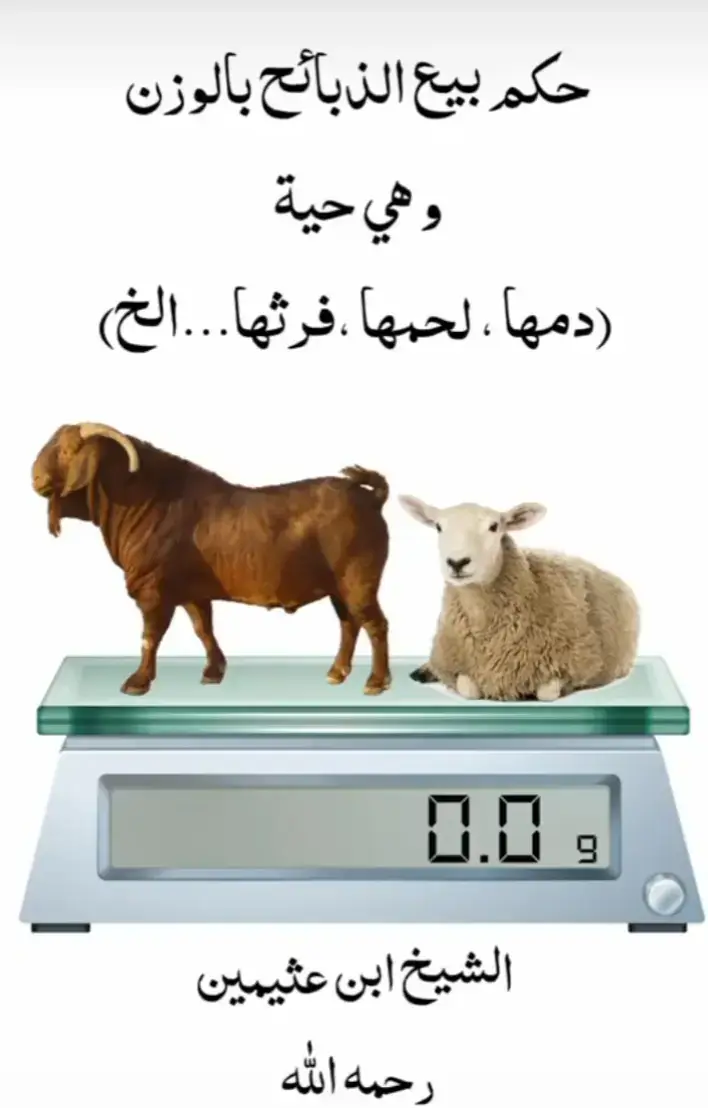 ‏:نهى ولم يحرم