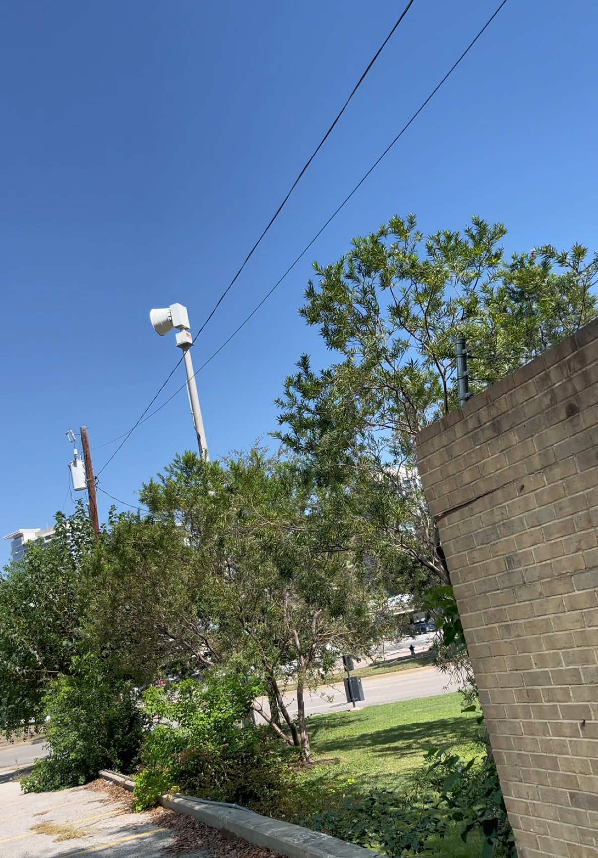 Federal signal  2001 siren test #federalsignal #2001siren #sirentest #tornadosiren #siren #ForYouPage 