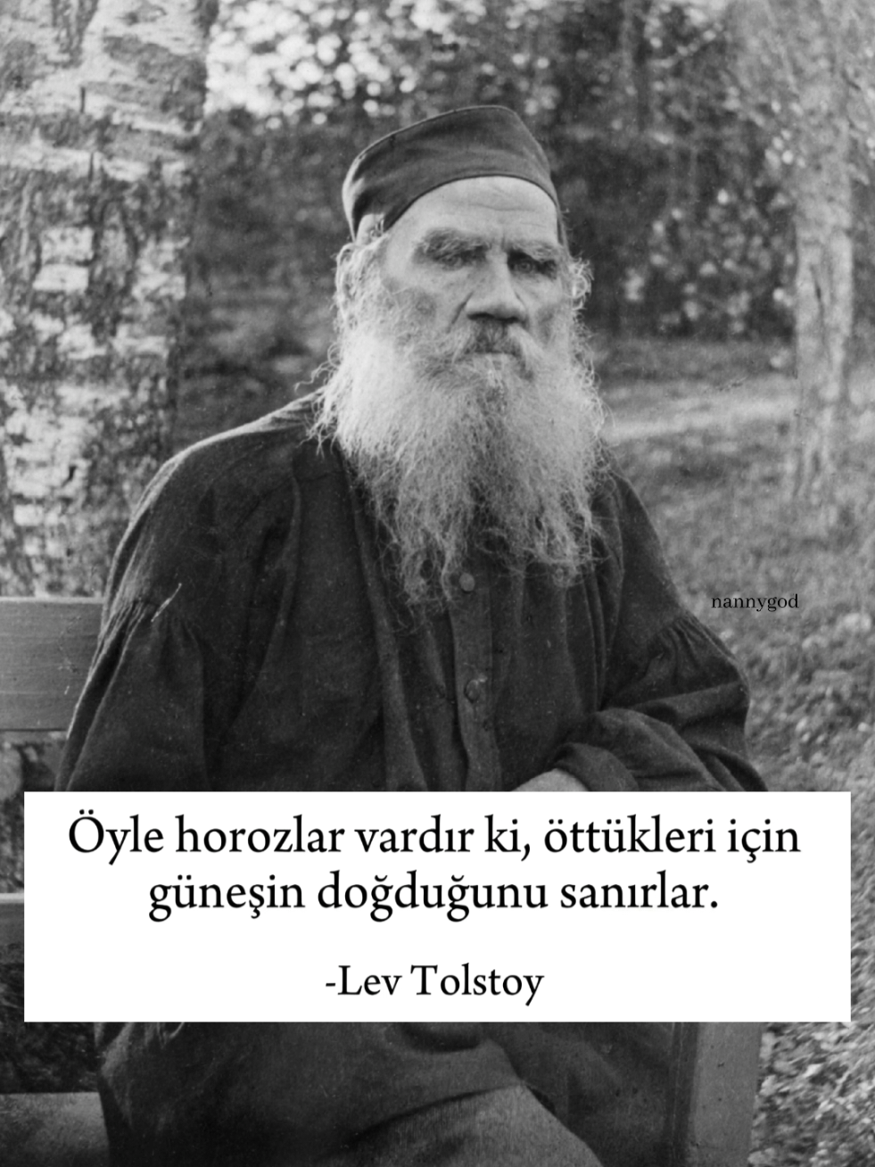 #tolstoy #insanneileyaşar #darknights 