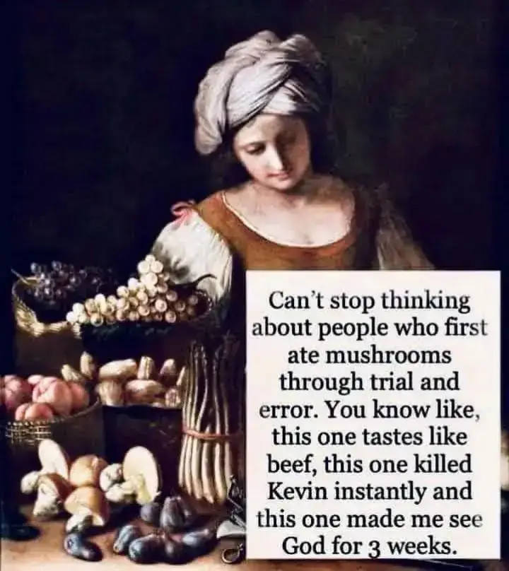 Mushrooms, with their intriguing shapes and diverse colors, have captured human fascination for millennia. These fungi have been part of human diets, rituals, and medicines since ancient times. But who were the first people to discover mushrooms, and how did they come to understand their potential uses? Early Encounters with Mushrooms The discovery of mushrooms likely occurred in prehistoric times. As early humans foraged for food, they would have encountered these ubiquitous fungi. While concrete evidence is scarce, it is reasonable to assume that early hunter-gatherer societies were among the first to identify mushrooms as a potential food source. These societies relied heavily on their knowledge of the natural world to survive, and mushrooms would have been a part of their exploration. Mushrooms in Ancient Cultures Asia In China, mushrooms have been part of traditional medicine and cuisine for thousands of years. The earliest documented use of medicinal mushrooms dates back to the Han Dynasty (206 BCE – 220 CE). Texts from this period describe mushrooms, such as reishi (Ganoderma lucidum), as symbols of longevity and vitality. Europe In Europe, the Greeks and Romans were aware of mushrooms, though their attitudes were mixed. The Greek philosopher Theophrastus (circa 371–287 BCE) wrote about mushrooms in his work 