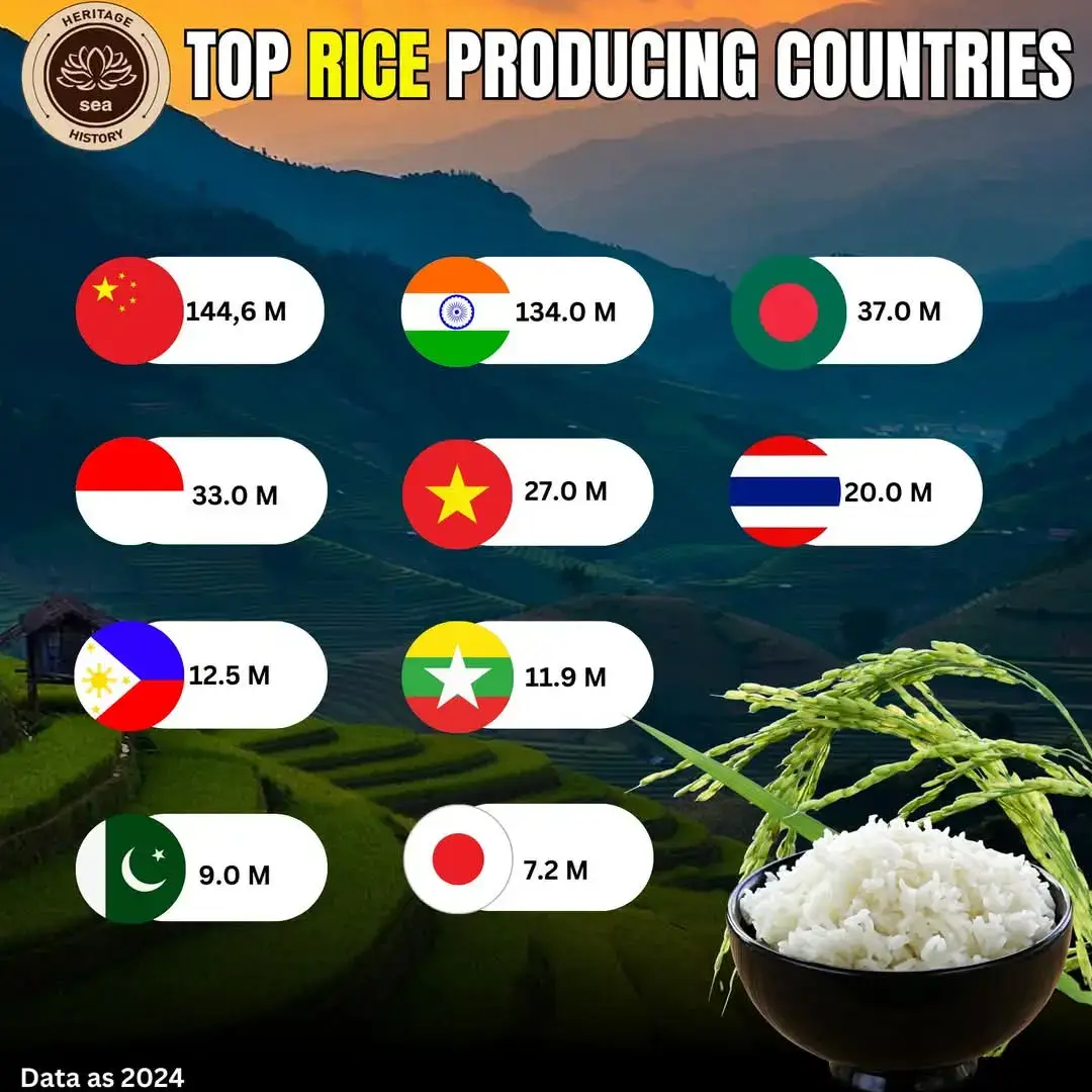 #productores . #arroz #paises . 🌾La historia del cultivo del arroz es una disciplina interdisciplinaria que estudia la evidencia arqueológica y documental para explicar cómo el arroz fue domesticado y cultivado por los humanos, la expansión de su cultivo a diferentes regiones del planeta y los cambios tecnológicos que han impactado en el cultivo a lo largo del tiempo. El consenso científico actual, basado en evidencia arqueológica y lingüística, es que el arroz Oryza sativa fue domesticado por primera vez en la cuenca del río Yangtze en China hace 9.000 años. El cultivo, la migración y el comercio difundieron el arroz por todo el mundo: primero a gran parte del este de Asia, luego a zonas más alejadas y, finalmente, a las Américas como parte del intercambio colombino. El arroz Oryza glaberrima, ahora menos común, fue domesticado de forma independiente en África hace unos 3000 años.