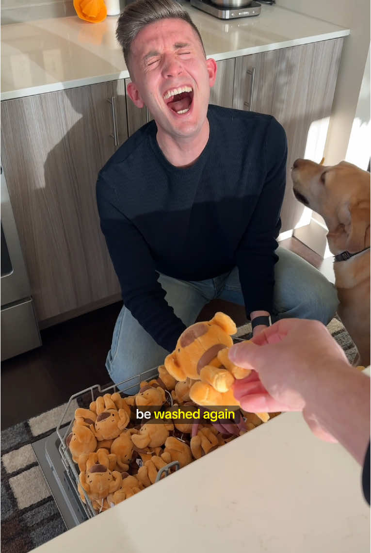 Mr Maple made me do it!! 😂🦮 #prank #dogtok #couplestiktok 