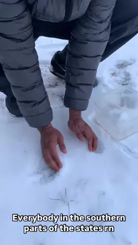 Let me go put this on ice 😂#memetok #creatorsearchinsights 