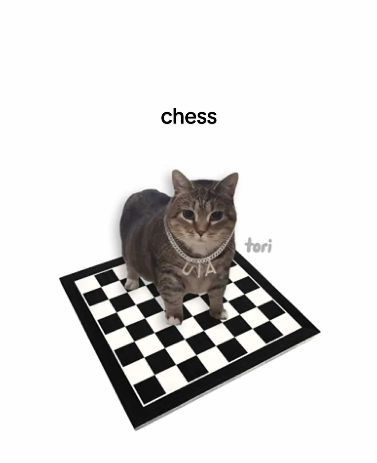 Chess type uia ♟️ Song „chess“ by @joyful.prod 🎶 dancing rat by @ratomilton 🐀 #cats #rats #lyrics #chess #slowed #fyp #foryou 