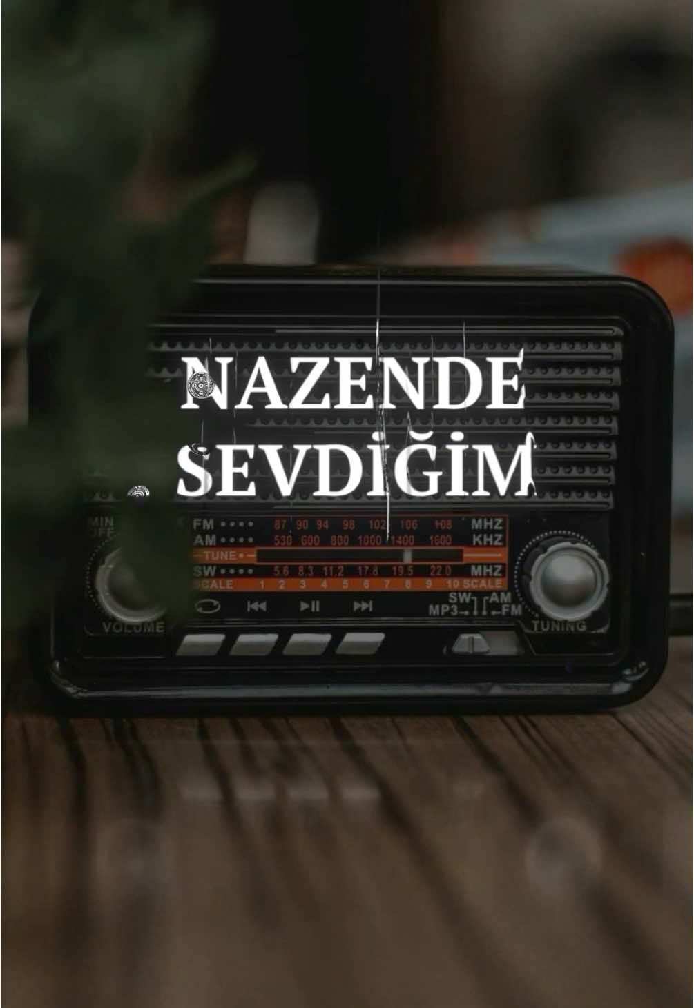 Nazende sevgilim yadıma düşdü.. #retrocu #music #şarkıkeşfet #eskişarkılar #eskişarkılargüzeldir #nazendesevgilim #nazendesevgilimyadımadüştün #şarkı 