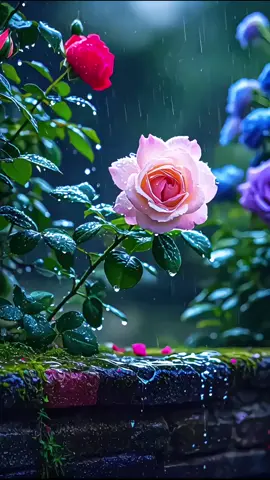 نجاة الصغيرة القريب منك بعيد والبعيد عنك قريب#الزمن_الجميل #أغاني_طرب #أغاني_حب #موسيقى 