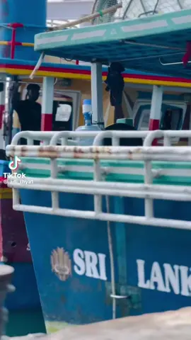 කෝස් පන්නෙට ආස අය කෝ බලන්න 💓#දෙවොල්_දෙවි_පිහිටයි #කොට්ටගොඩ______අපි🚶‍♀️💔🌸 #CapCut #කරාවෙ_අපි #viralvideo #trending #fyp #kottagoda_srilakna🇱🇰✨🖤 #diwaramithuro 