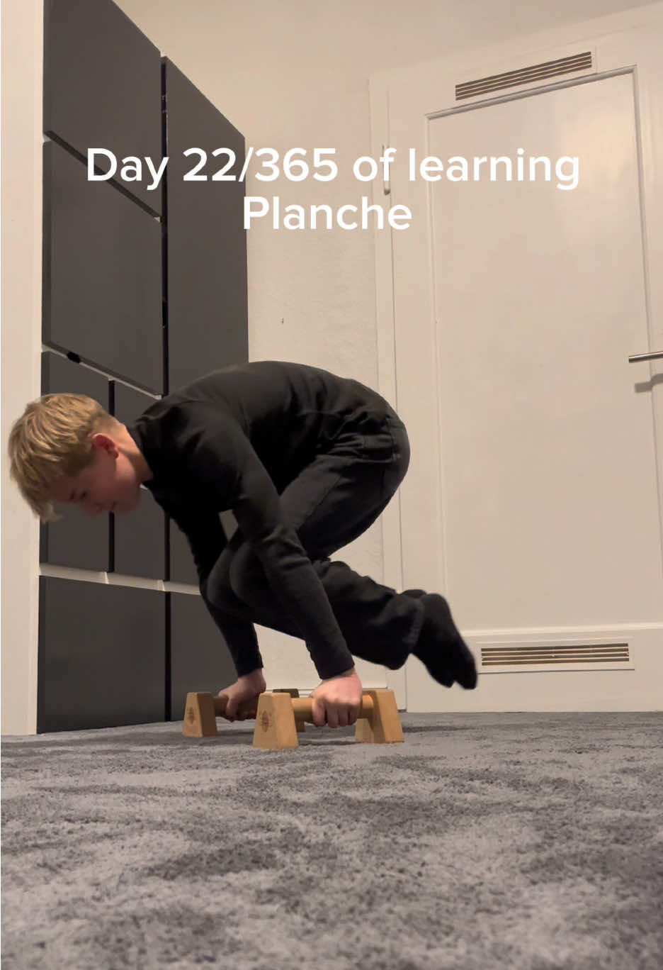 Tag 22  #calisthenics #planche 
