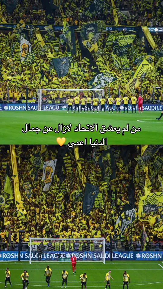 فوز مستحق مبرووك اتحاديستا💛💛💛 #ittihad 