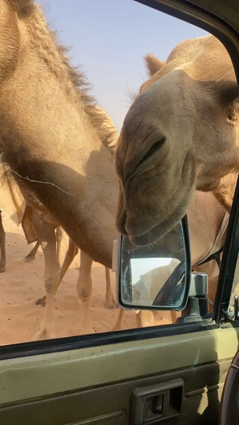 #اكسبلور #العطاوي #الشعل #العلط #بداوه #اذكرواالله #