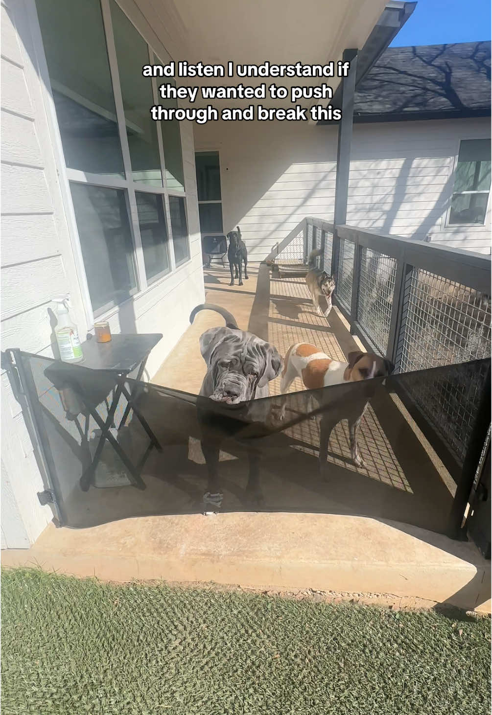 new & improved dog gate for the back porch 🐶✨ #dogmom #doggate #lifewithdogs #Home #backyard #babygate #DogTraining 