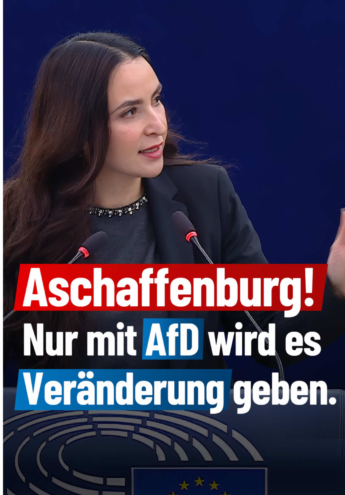 Es muss festgehalten werden: Nur mit der #AfD wird es eine wirkliche Veränderung in der #Migrationspolitik geben. Dann wird Remigration das Gebot der Stunde sein. ✈️ #deshalbafd 