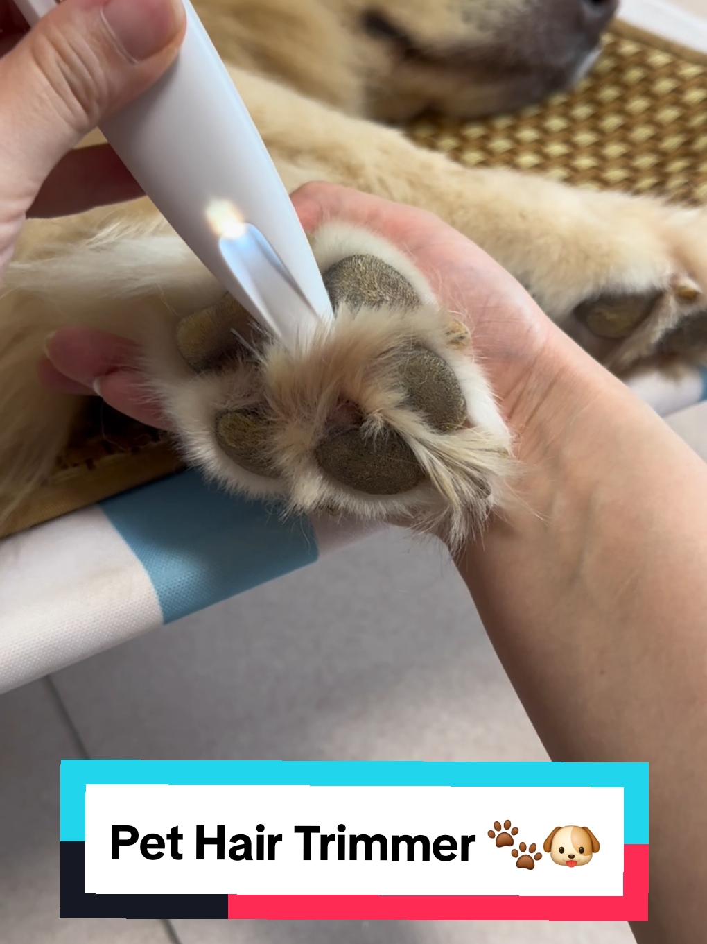 Pet Hair Trimmer 🐾🐶 #pethairremoval #shedding #dogproducts #dogs 