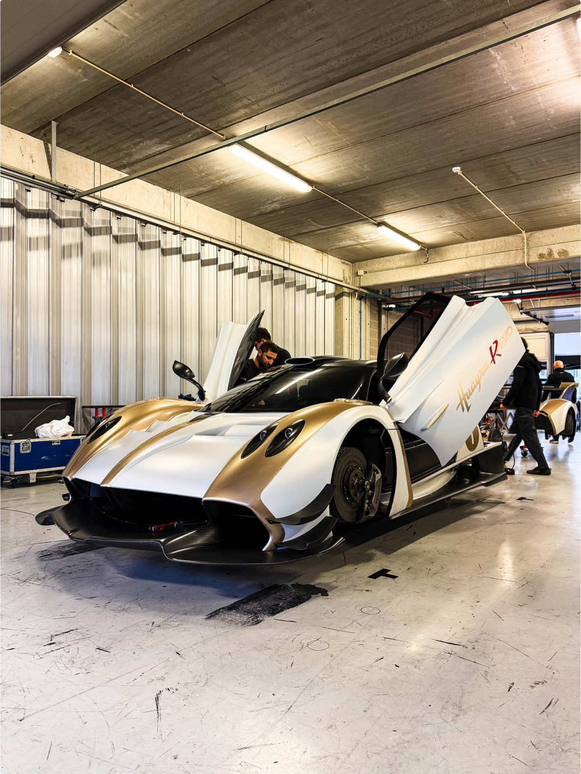 V12 Symphony: The Ultimate Sound Experience 	 #pagani 