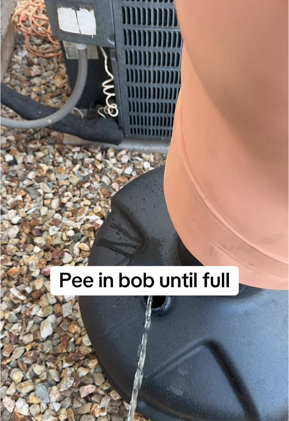 Pee in bob until full 