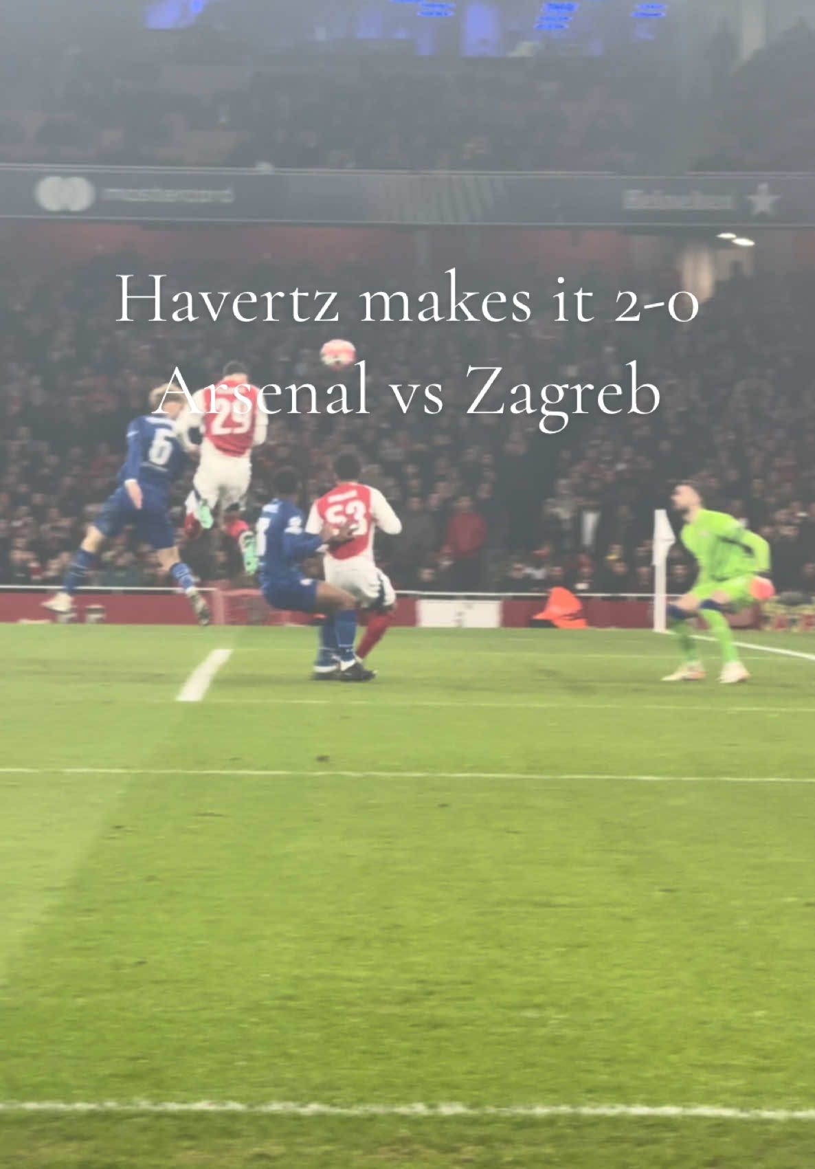 Kai Havertz Goal & Fans Reaction - Arsenal vs Zagreb #arsenal #championsleague #havertz 