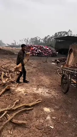 This is how charcoal is made