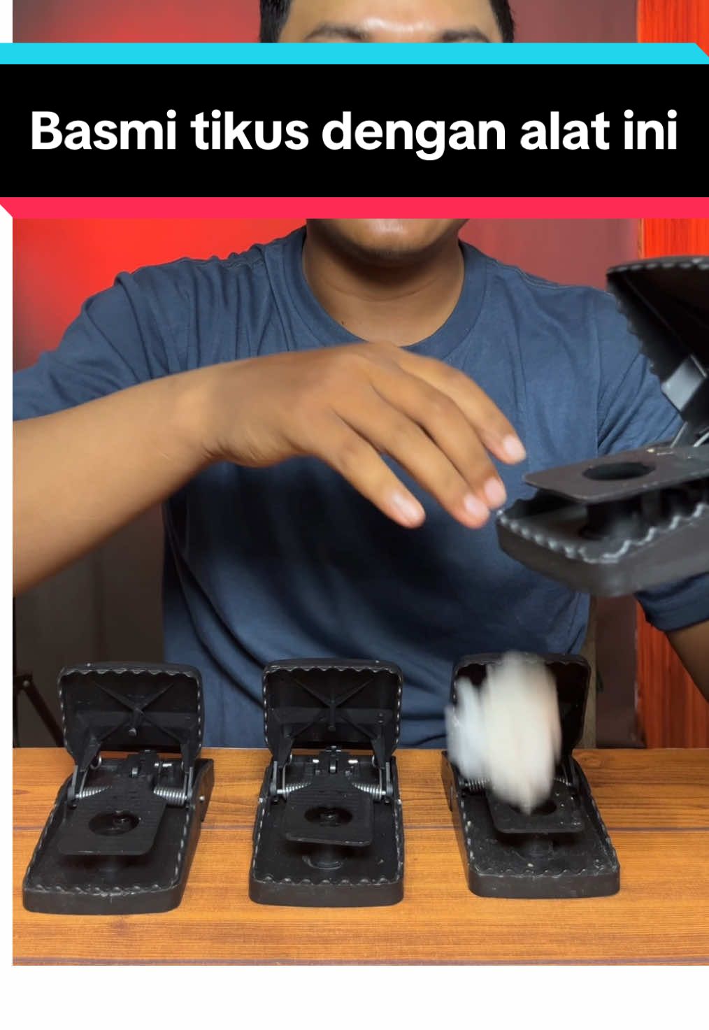Membalas @den-Han perangkap tikus ampuh banget ni bg #perangkaptikus #jebakantikus #mousetrap 
