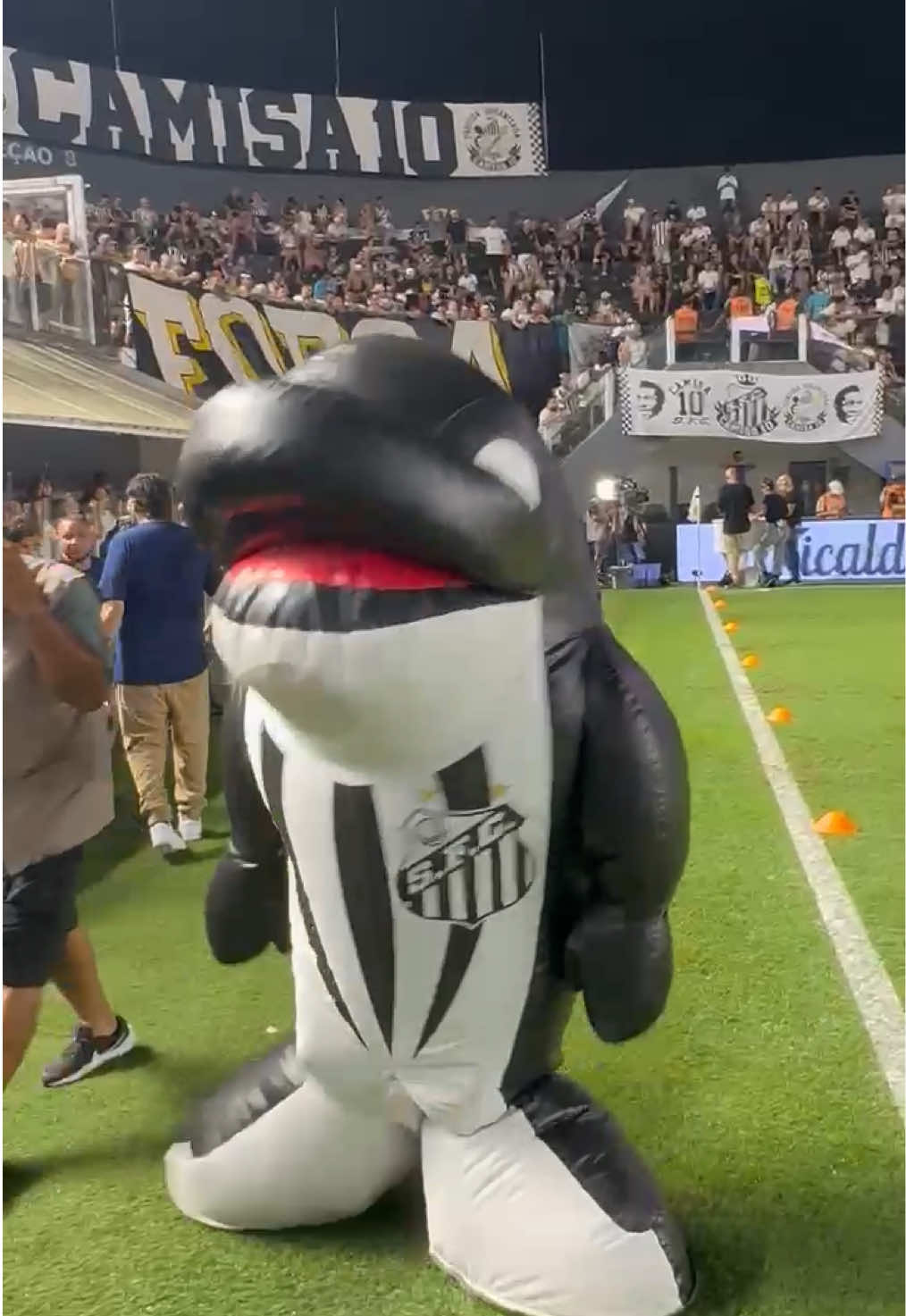 No passinho do melhor mascote do Brasil! 🐳 #Santos #SantosFC #TikTokEsportes #Futebol #Mascote