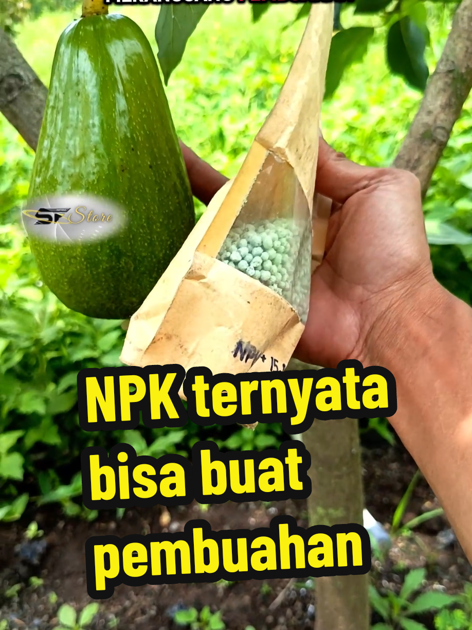 pupuk NPK booster pembuahan #pupuk #npk #booster #pupukbuah 
