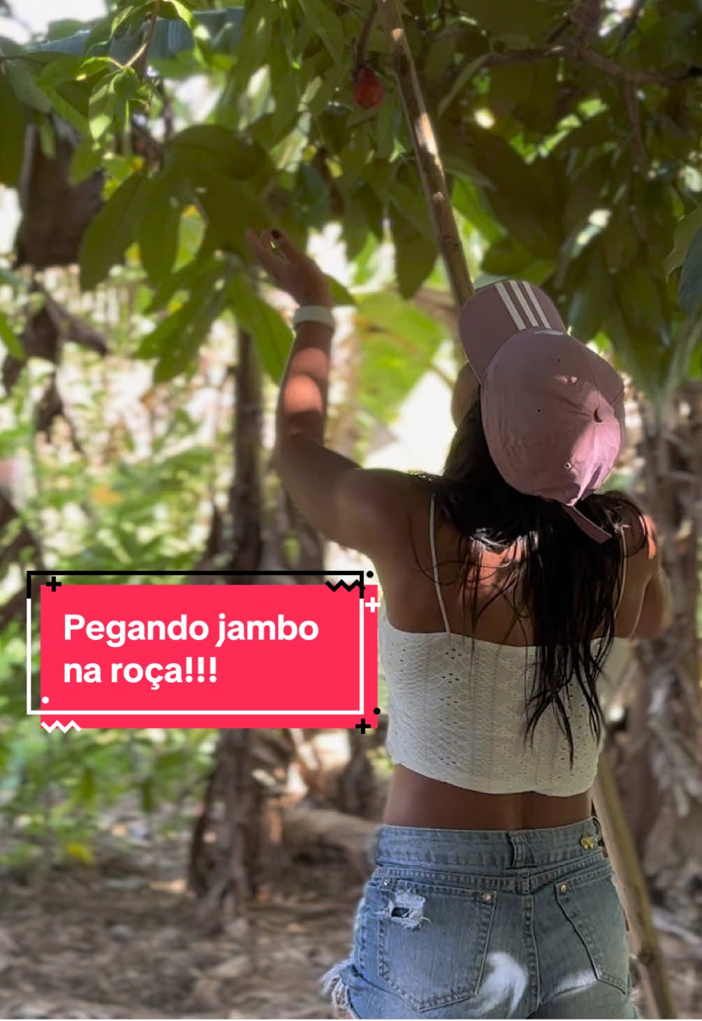 Colhendo jambo na roça!!! #agrogirl #roça #colheita #meninadaroça #jambo #fruta #natural #meninadapecuaria #morena #linda #humor #explore #foryoupage❤️❤️ #fyp #mulheres #Viral #boanoite 
