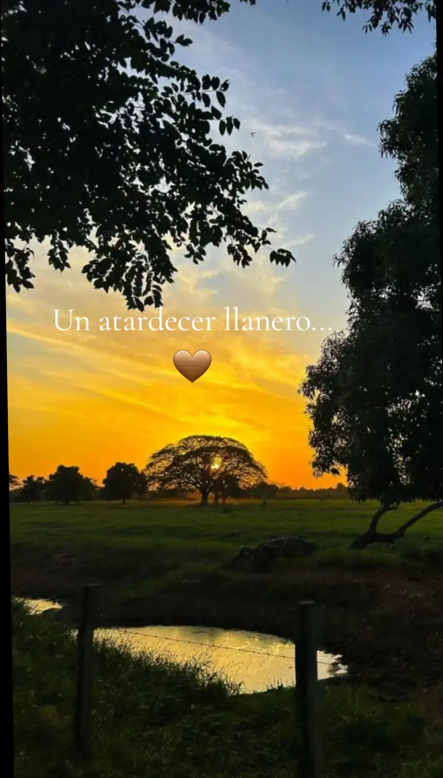 #unatardecerllanero  #jorgeguerrero   #barinaszvzla🇻🇪🇻🇪🇻🇪  #pedraza 