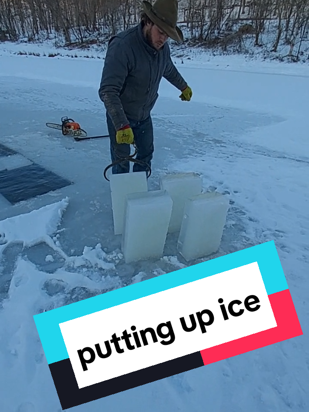 storing away ice use to be very common back in the day but it's almost unheard of these days . it's still done in the Amish here and there but I never got to help so I'm learning as I go #icestorage #selfsufficient #ice #icehouse #fyp #offgrid 