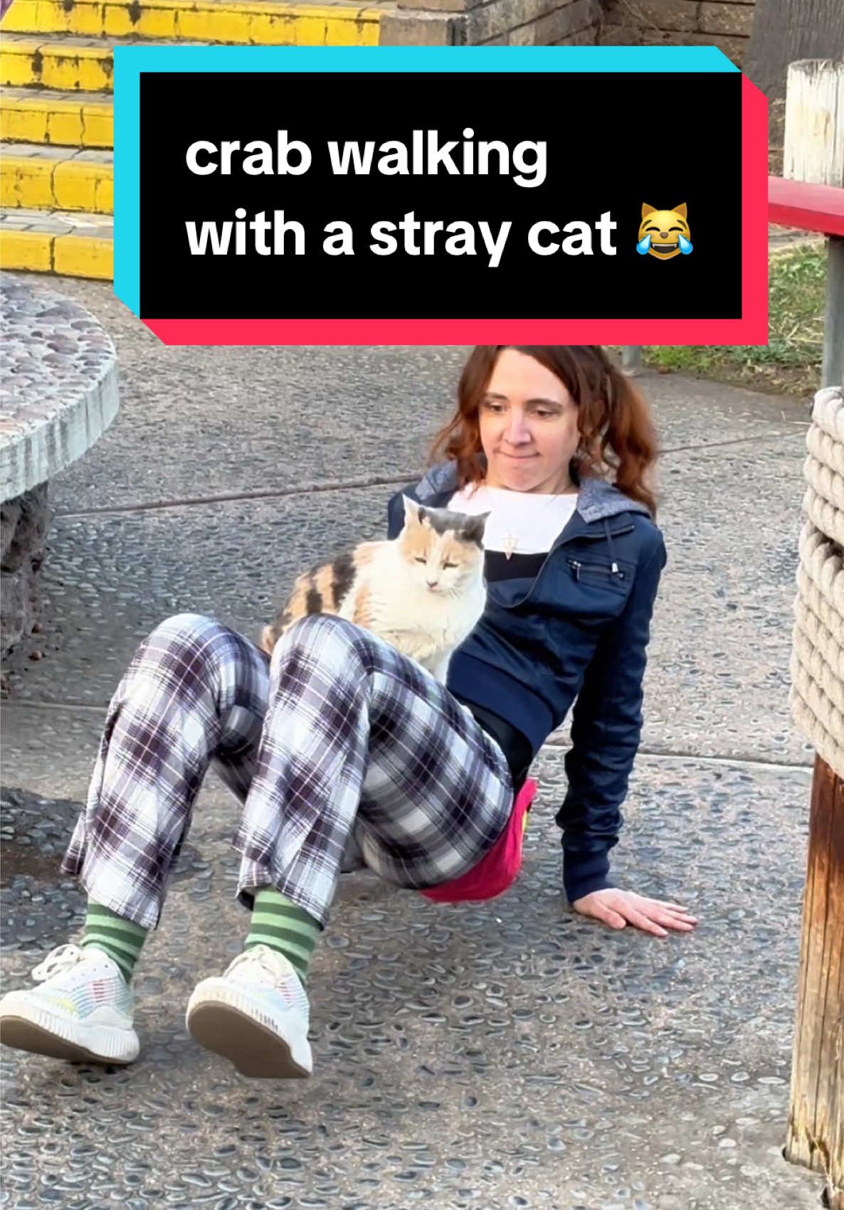 idk it felt like the right thing to do 🤷‍♀️ 📸 @Joseph Ryan Hanson #cats #staycats #friendlycats #funnycats #catperson 