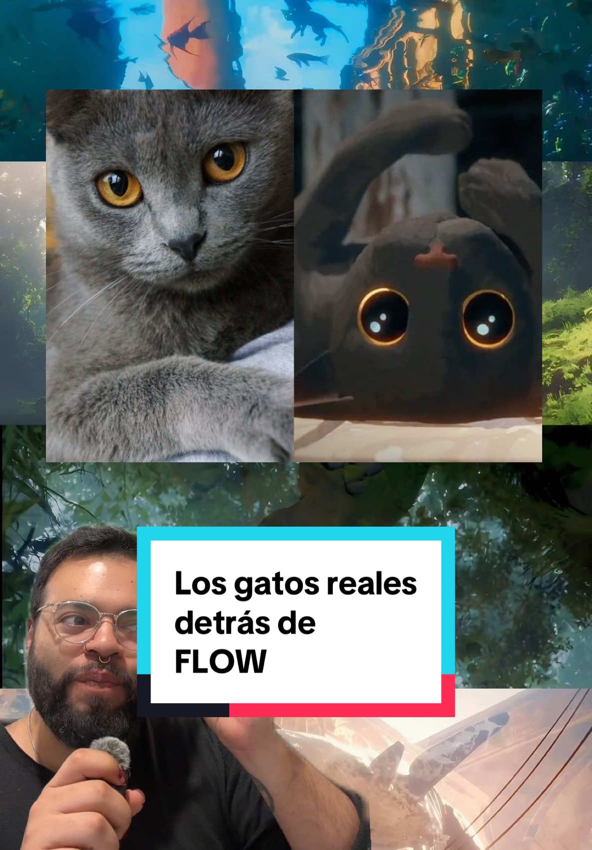 Respuesta a @Alan Cruz 🎟️🍿 Los gatitos reales detrás de FLOW. #peliculas #entrenews #entretenews #cine #pelicula #Oscars2025 