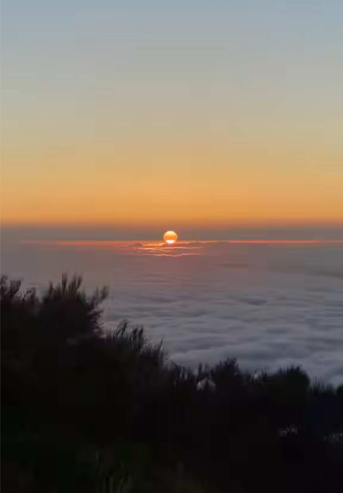 just start taking pictures 🥹 #portugal #photography #madeira #travel 