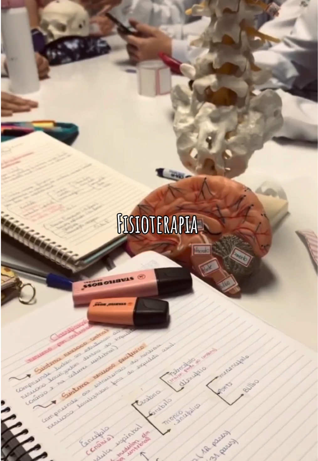 Obrigada Deus pela oportunidade de estar caminhando em direção a uma profissão tão linda 💚 #fisioterapia #faculdadedefisio #universitaria #faculdade 