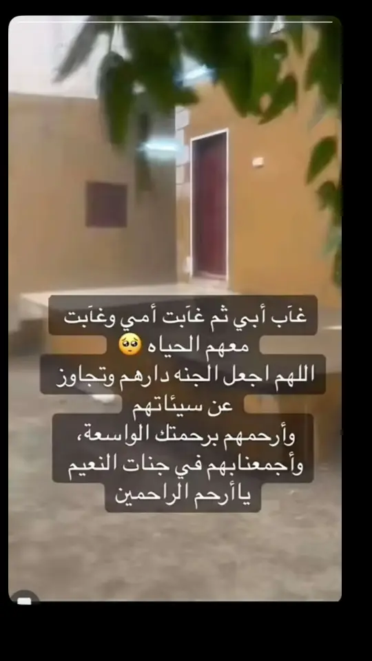 #أمي 