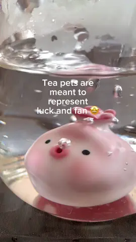 Tea pets are meant to represent luck and fun#teapets#pets#tea#teaching #teaculture #fun #maketea #teaknowledge #teaceremony 