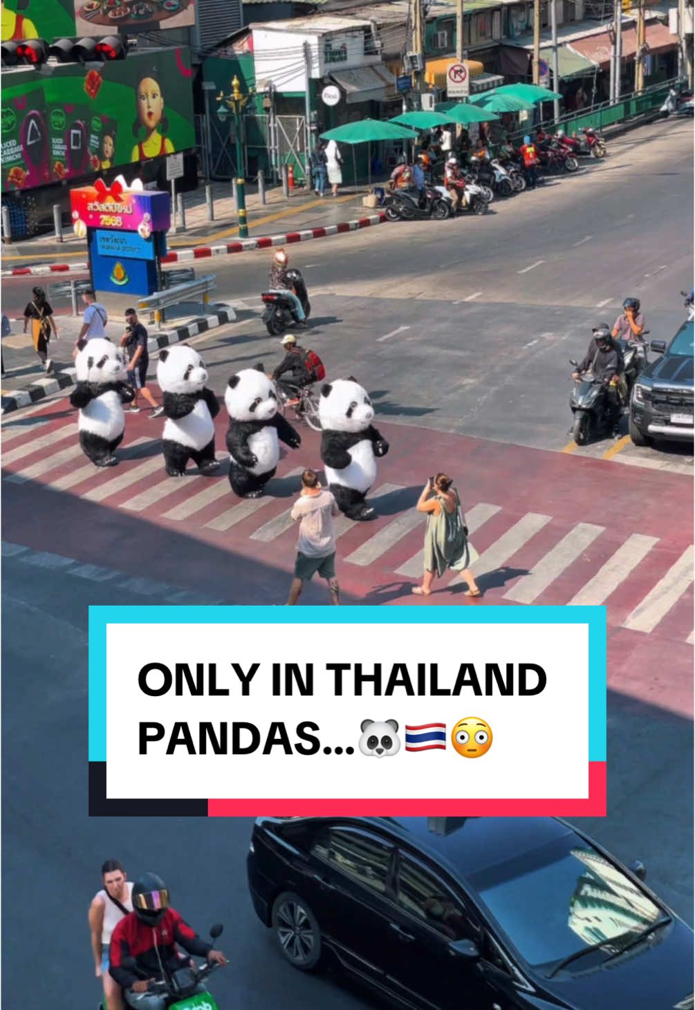 Only in Thailand, the Pandas… 😳🐼🇹🇭 #sandrotaod #thailand🇹🇭 #bangkok #sandro #sncsandro #onlyinthailand #tiktoktravel 