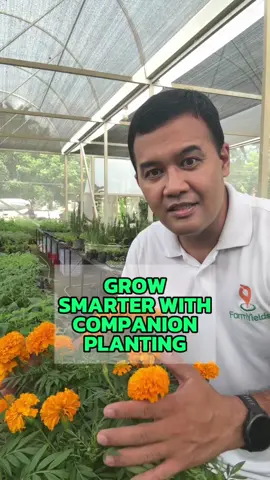 Grow Smarter with Companion Planting #CompanionPlanting #SmartGardening #GrowTogether #farmyields #carlothefarmer