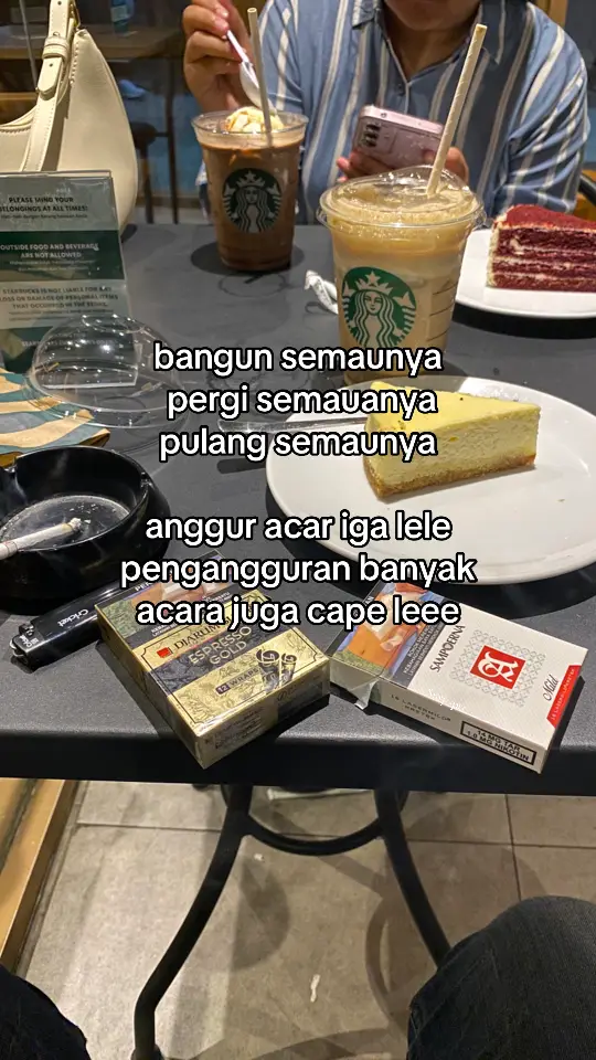 Ikan pari ikan lele info ngopii le