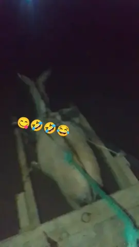😂🤣😋😋😘