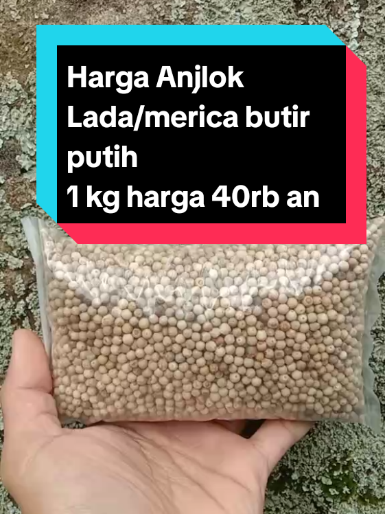 Lada putih butir 1 kg 40 rb an gratis ongkir bisa cod #bumbudapur #ladabutir #merica 