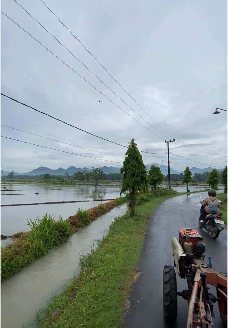 wong lanang sing ora keduman bedil tapi keduman setir #traktor #petani #traktorsawah #story 