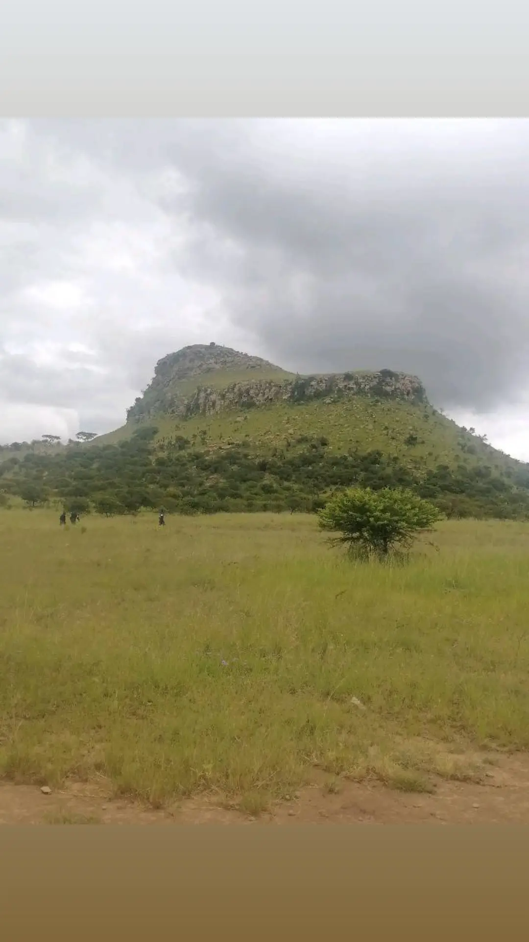 Shembe baba Nkulunkulu wabo bonke abamkhonzayo uzungikhumbule Nami. 