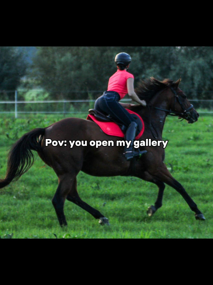 #CapCut #hearthorse #horsesoftiktok #fy #fyp #explore #chronicallyill 